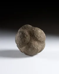 Gesneden bal, late neolithische periode, Schotland, c.3750-2000 v.Chr.